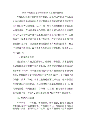 机关事业单位2023年纪检监察干部队伍教育整顿个人心得体会 （9份）.docx