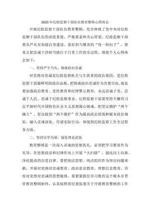 公安派出所2023年纪检监察干部队伍教育整顿个人心得体会 精编七份.docx