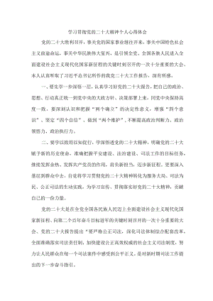 司法干警党员干部学习宣传贯彻党的二十大精神个人心得体会 （合计4份）.docx