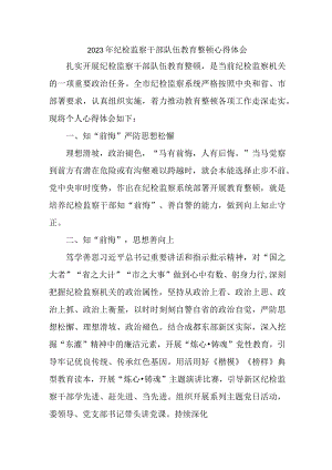 机关事业单位2023年纪检监察干部队伍教育整顿个人心得体会 汇编9份.docx
