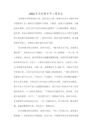 2023年五四青年节心得体会.docx