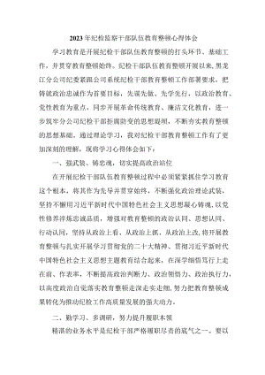 城区机关事业单位2023年纪检监察干部队伍教育整顿个人心得体会.docx