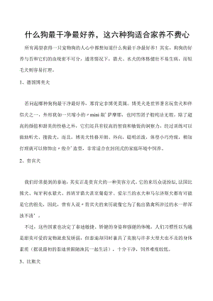 什么狗最干净最好养这六种狗适合家养不费心.docx
