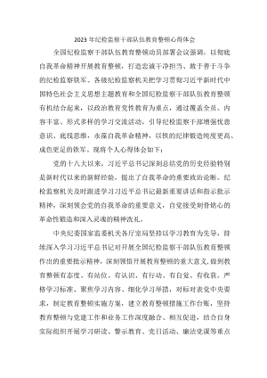 公安派出所2023年纪检监察干部队伍教育整顿个人心得体会 （10份）.docx
