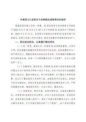 团委关于巡察整改进展情况的报告.docx