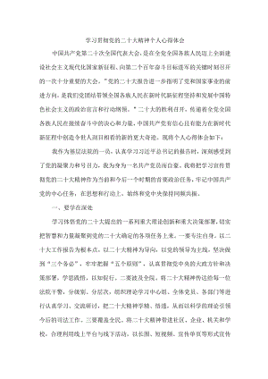 司法干警党员干部学习宣传贯彻党的二十大精神个人心得体会 （汇编6份）.docx