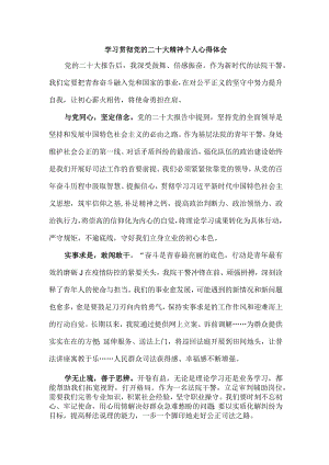 法警党员干部学习宣传贯彻党的二十大精神个人心得体会 （6份）.docx