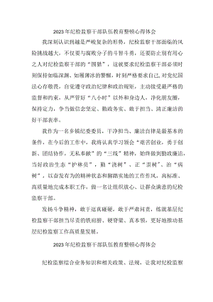 新版全市2023年纪检监察干部队伍教育整顿个人心得体会 汇编10份.docx