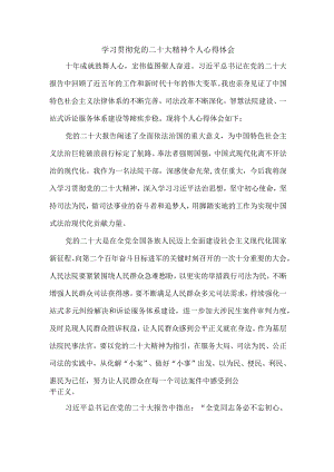 法警党员干部《学习宣传贯彻党的二十大精神》个人心得体会.docx
