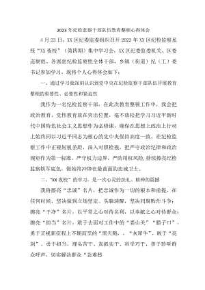 乡镇纪委2023年纪检监察干部队伍教育整顿心得体会 汇编10份.docx