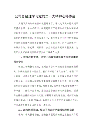 公司总经理学习党的二十大精神心得体会.docx