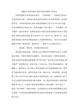 城管监察大队2023年纪检监察干部队伍教育整顿个人心得体会 汇编10份.docx