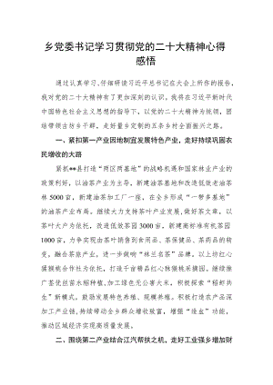 乡党委书记学习贯彻党的二十大精神心得感悟.docx