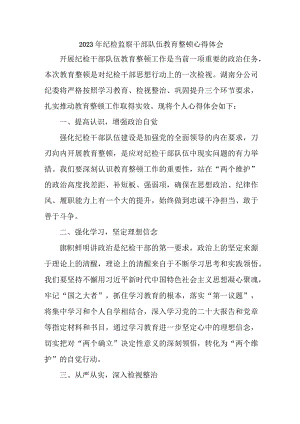 市区应急管理局2023年纪检监察干部队伍教育整顿个人心得体会 汇编10份.docx
