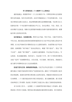 法警党员干部《学习宣传贯彻党的二十大精神》心得体会 （汇编6份）.docx