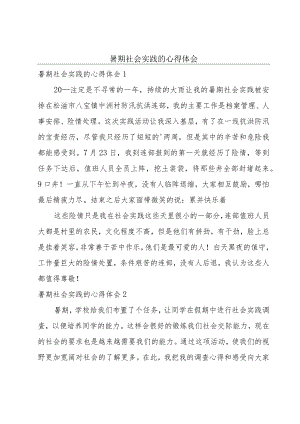 暑期社会实践的心得体会.docx