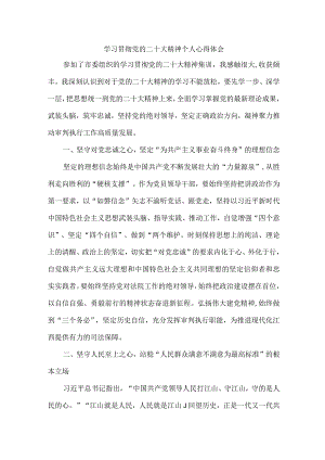 法警党员干部学习宣传贯彻党的二十大精神个人心得体会 汇编4份.docx