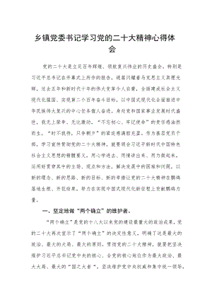 乡镇党委书记学习党的二十大精神心得体会（3篇）.docx