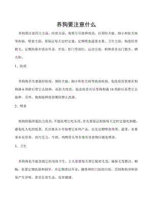 养狗要注意什么.docx