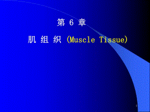 第6章肌组织课件.ppt