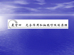 第一部分晨背四光合作用和细胞呼吸的原理名师编辑PPT课件.ppt
