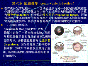 第6章胚胎诱导.ppt