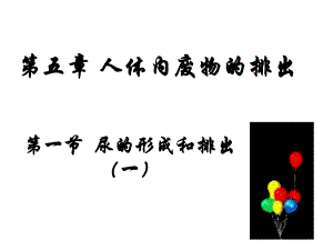 第一部分尿的形成和排出一教学课件名师编辑PPT课件.ppt