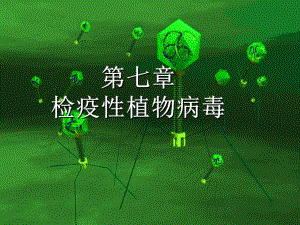 第七章检疫性植物病毒名师编辑PPT课件.ppt