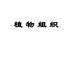 第一节植物组织第二课时.ppt