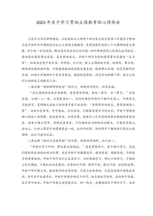 （5篇）2023年关于学习贯彻主题教育的心得体会、在公司学习贯彻主题教育工作会议上的动员讲话稿、主题教育党课讲稿.docx