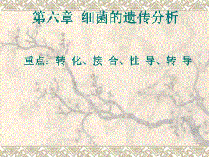 第6章：细菌的遗传分析.ppt