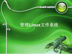 第6节管理Linux文件系统.ppt