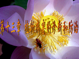第一节植物病害的诊断名师编辑PPT课件.ppt