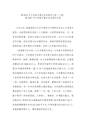 镇2023年乡村振兴重点完成情况汇报(二篇).docx