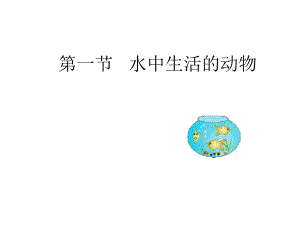 第一部分水中生活的动物名师编辑PPT课件.ppt