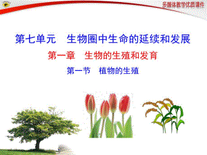 第一节植物的生殖.ppt