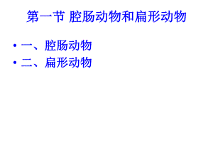 第一节腔肠动物和扇形动物.ppt
