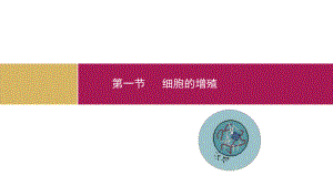 第一节细胞的增殖.ppt