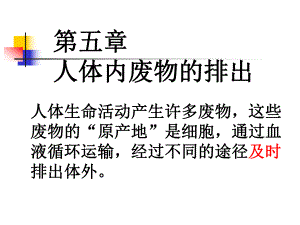 第一节尿的形成与排除.ppt