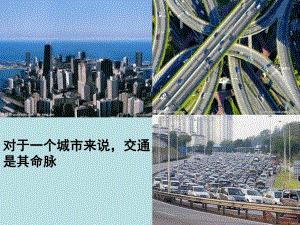 第一节流动的组织—血液.ppt