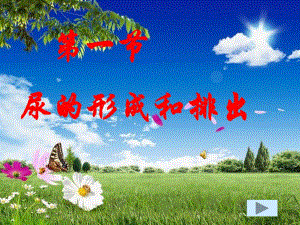 第一部分尿的形成和排出名师编辑PPT课件.ppt