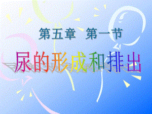 第一节尿的形成和排出.ppt