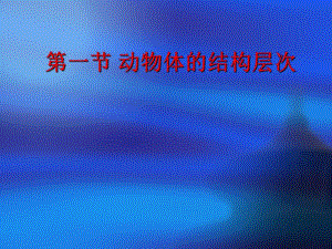 第一节动物体的结构层次名师编辑PPT课件.ppt