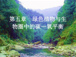 第一节光合作用吸收二氧化碳释放氧气课件1.ppt
