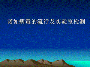 诺如病毒.ppt