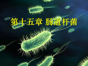 第15章肠道感染细菌.ppt