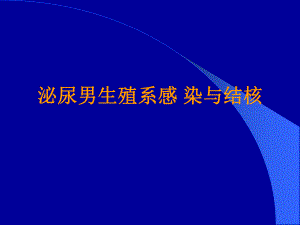 泌尿男生殖系感染与结核.ppt