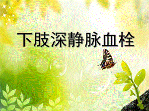下肢深静脉血栓幻灯.ppt.ppt