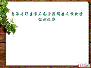 青海省野生草石蚕资源调查及植物学性状观察.ppt