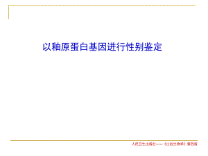 釉原蛋白基因性别鉴定.ppt